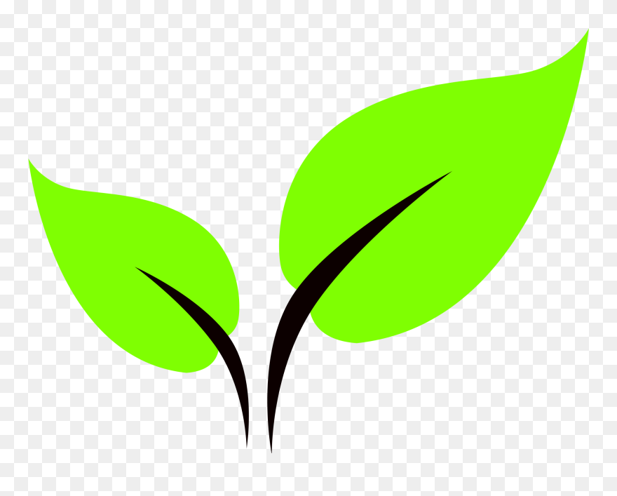 File Leaf Icon Svg - Leaf Icon Png Clipart