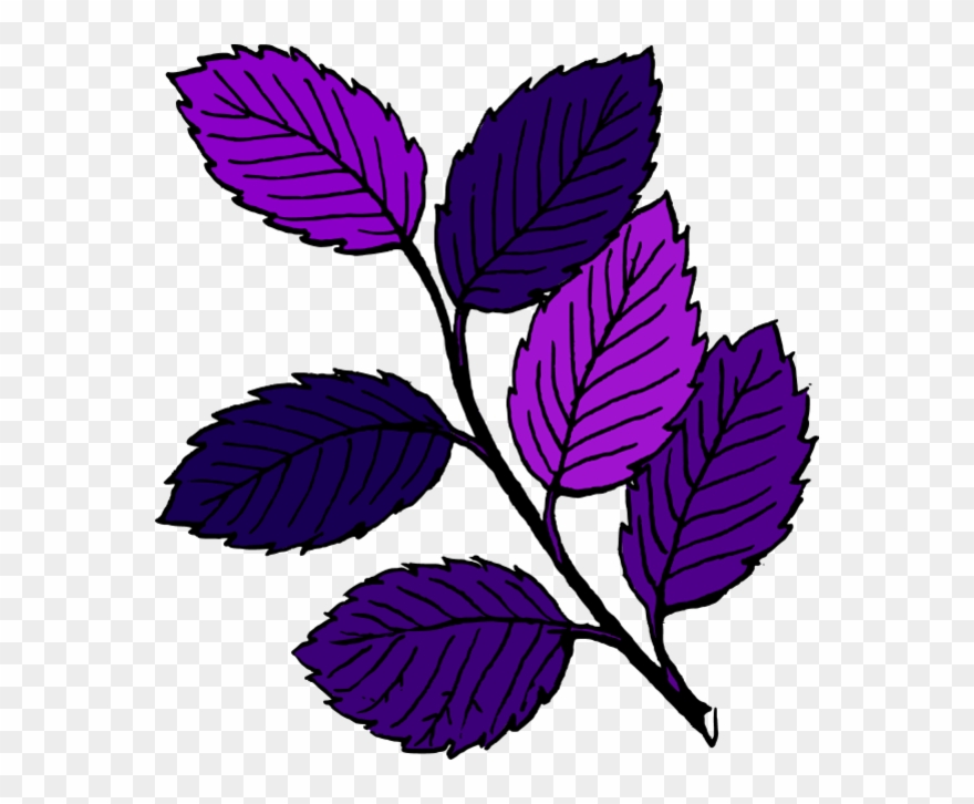 Leaf Branch Clipart - Fall Leaves Cartoon Drawing - Png Download
