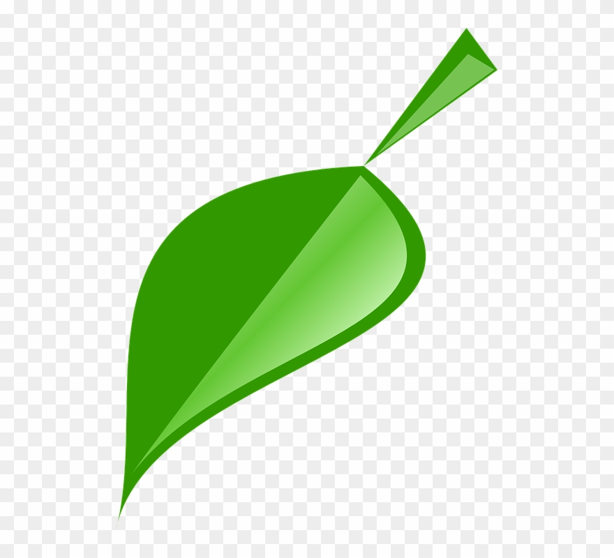 Green Leaves Clipart Single Green Leave - Single Neem Leaf Logo - Png Download