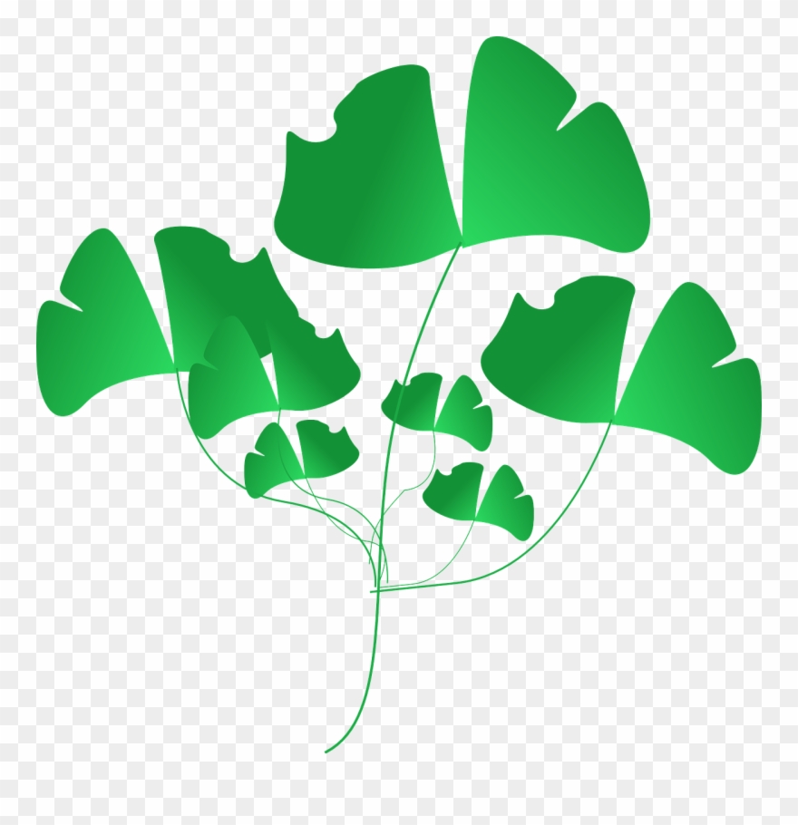 Leaf Clipart