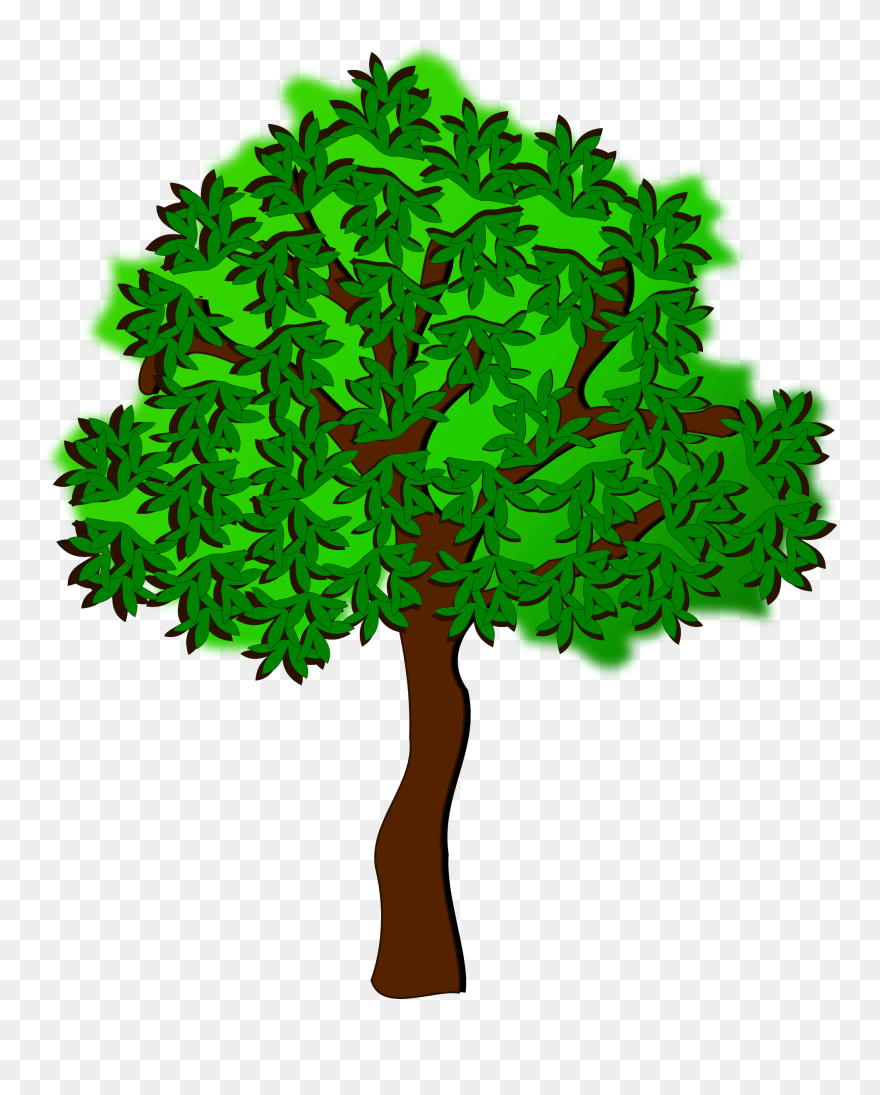 Summer Season Tree Autumn Drawing - Summer Tree Clipart - Png Download