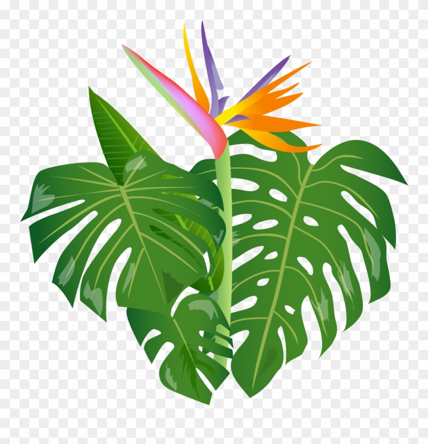 Shrub Clipart Jungle - Clip Art - Png Download