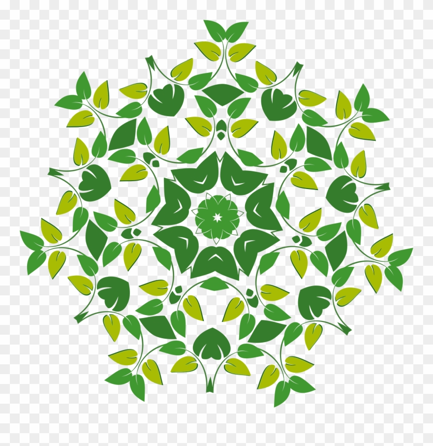 All Photo Png Clipart - Floral Design Transparent Png