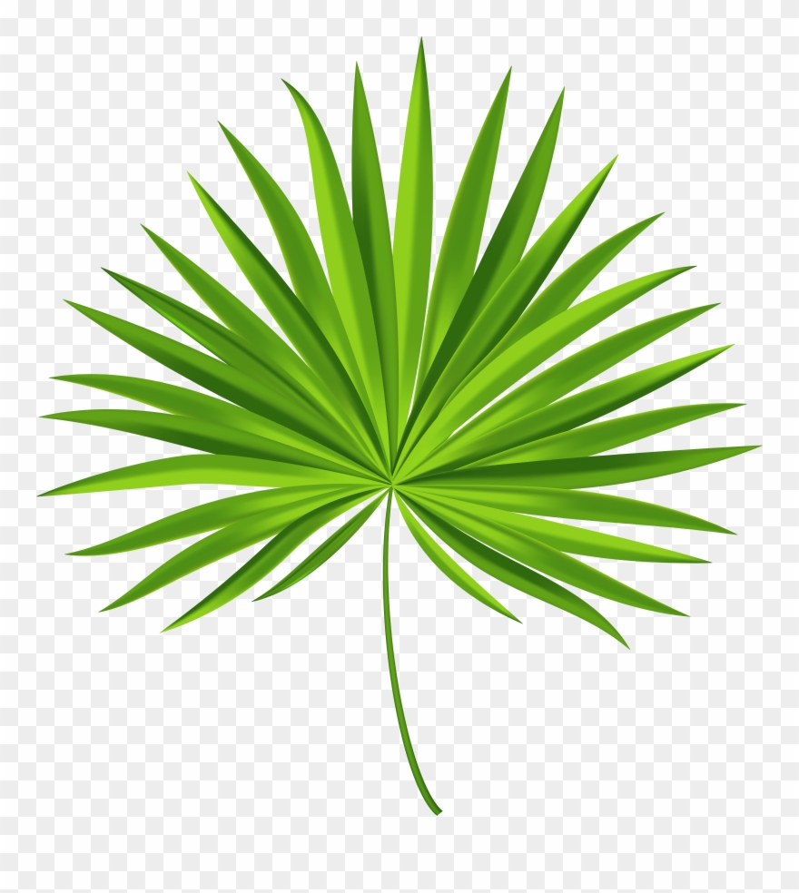 Tropical Leaves Clipart - Png Download