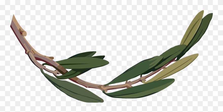 Branch Big Image Png - Olive Tree Illustration Png Clipart