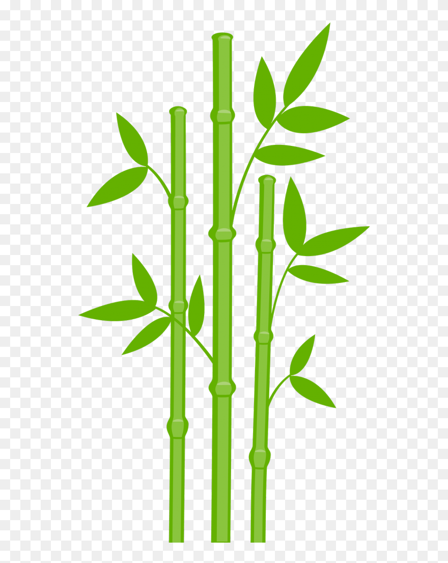 Bamboo Clipart - Png Download