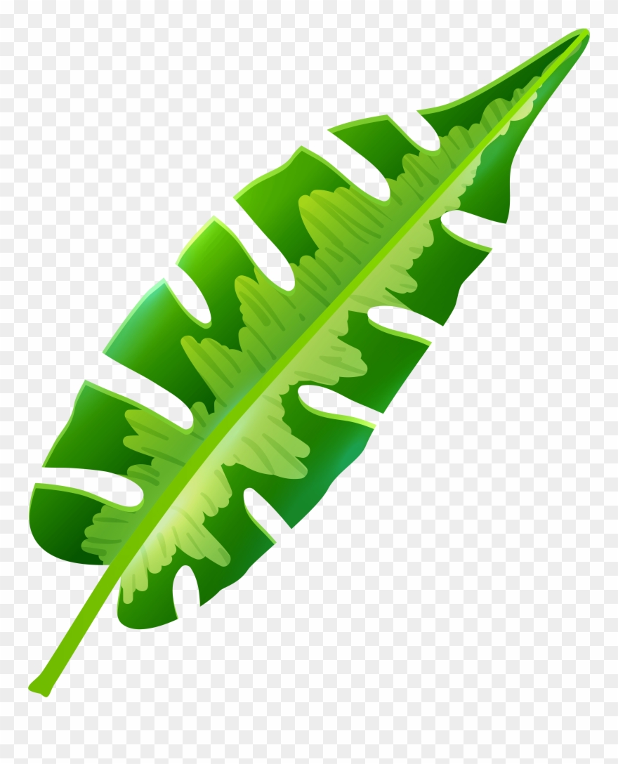 Tropical Leaf Clip Art Clipart Free Download - Png Download