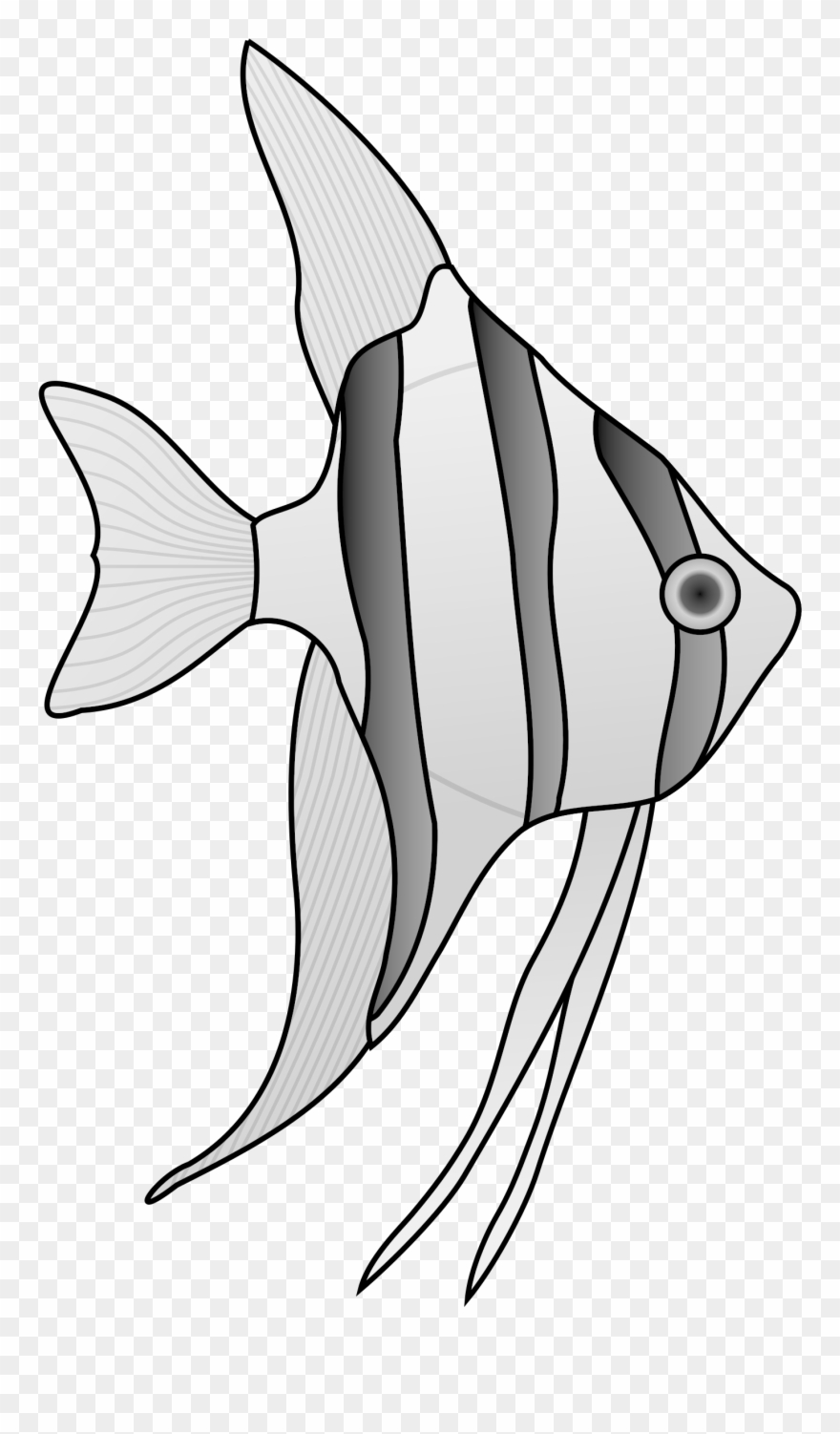 Clipart - Black And White Angel Fish - Png Download