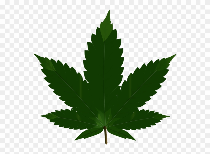 Leaf-svg Clip Art - Weed Png Transparent Png