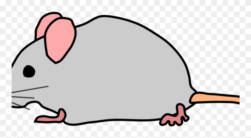 19 Mouse Clipart Black And White Huge Freebie Download - Transparent Background Mouse Clipart - Png Download