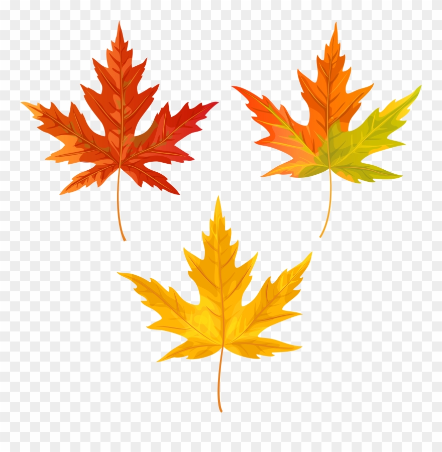 Leaf Png Clipart Transparent Png