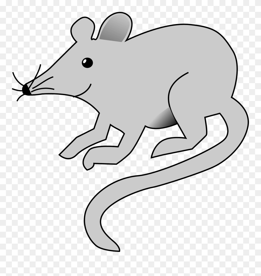 Free Mouse - Mouse Cartoon Transparent Background Clipart