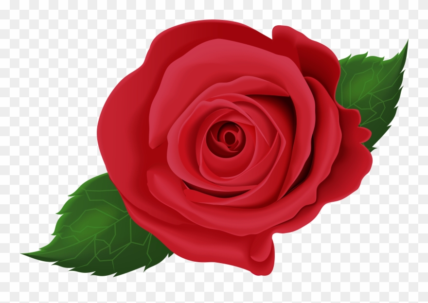 Rose Flower Leaf Png Clipart