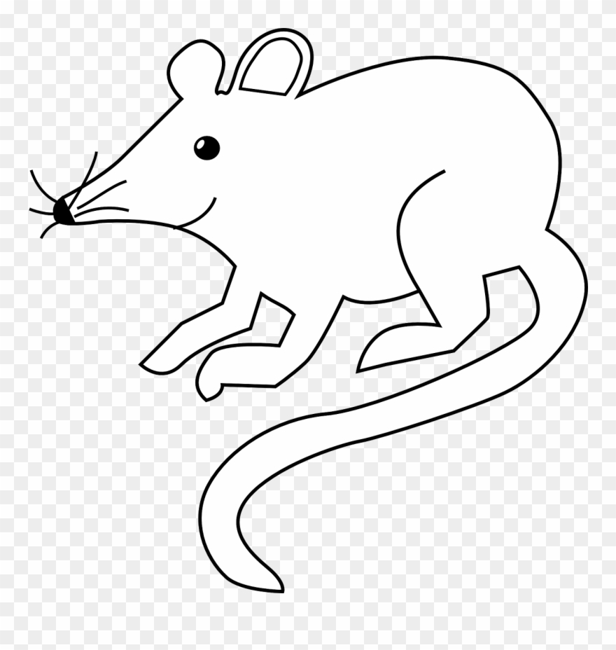 All Photo Png Clipart - Rat Black And White Transparent Png