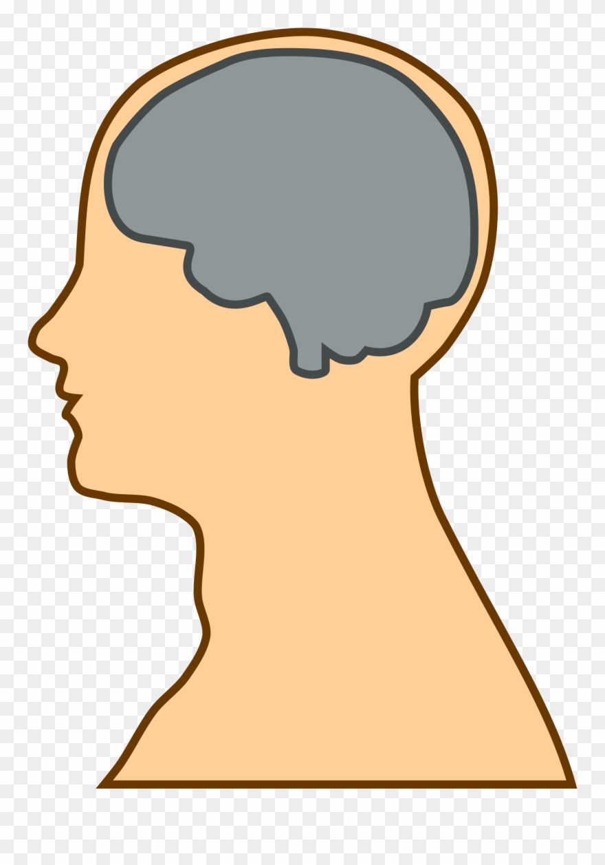 Clipart Of Brain, Neck And Minds - Process Of Kansei - Png Download