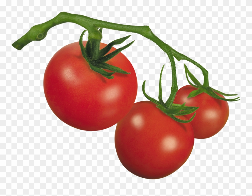 Clipart Of Tomato, Tomato The And Tomato Of - Plum Tomato - Png Download