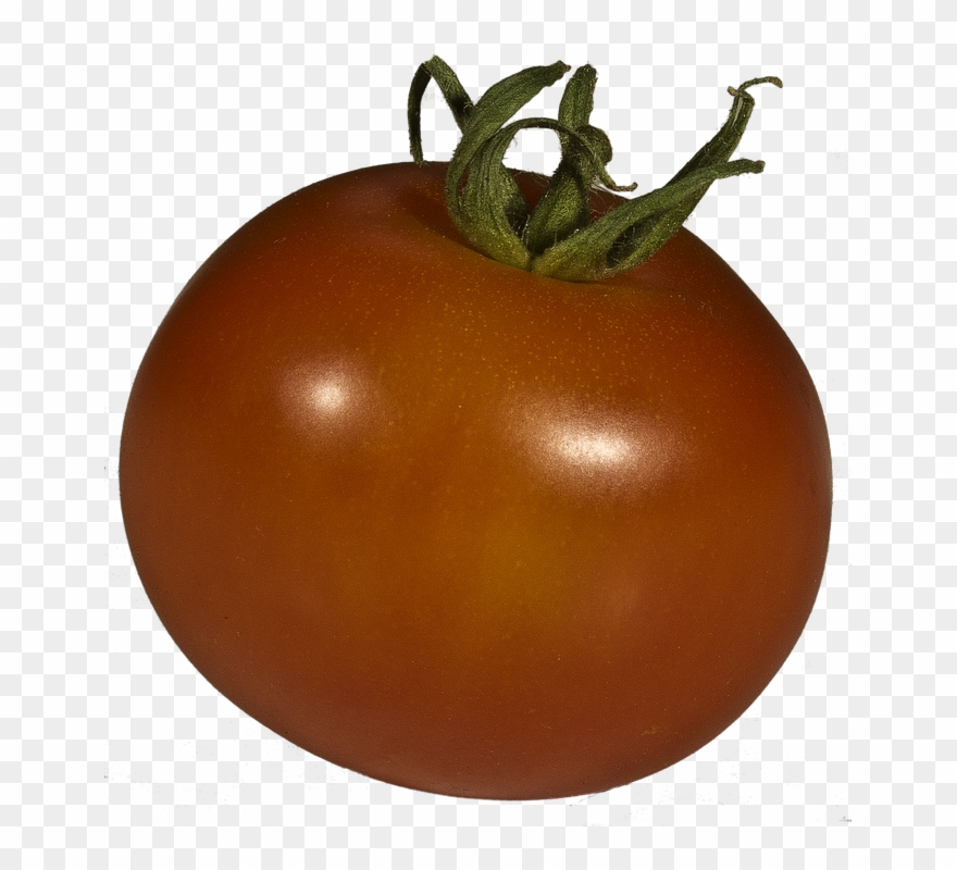 Free Photo Tomato Solanum Lycopersicum Grown Xitomatl - Plum Tomato Clipart