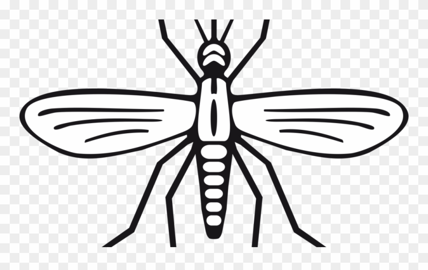 Black And White Mosquito Clipart - Png Download
