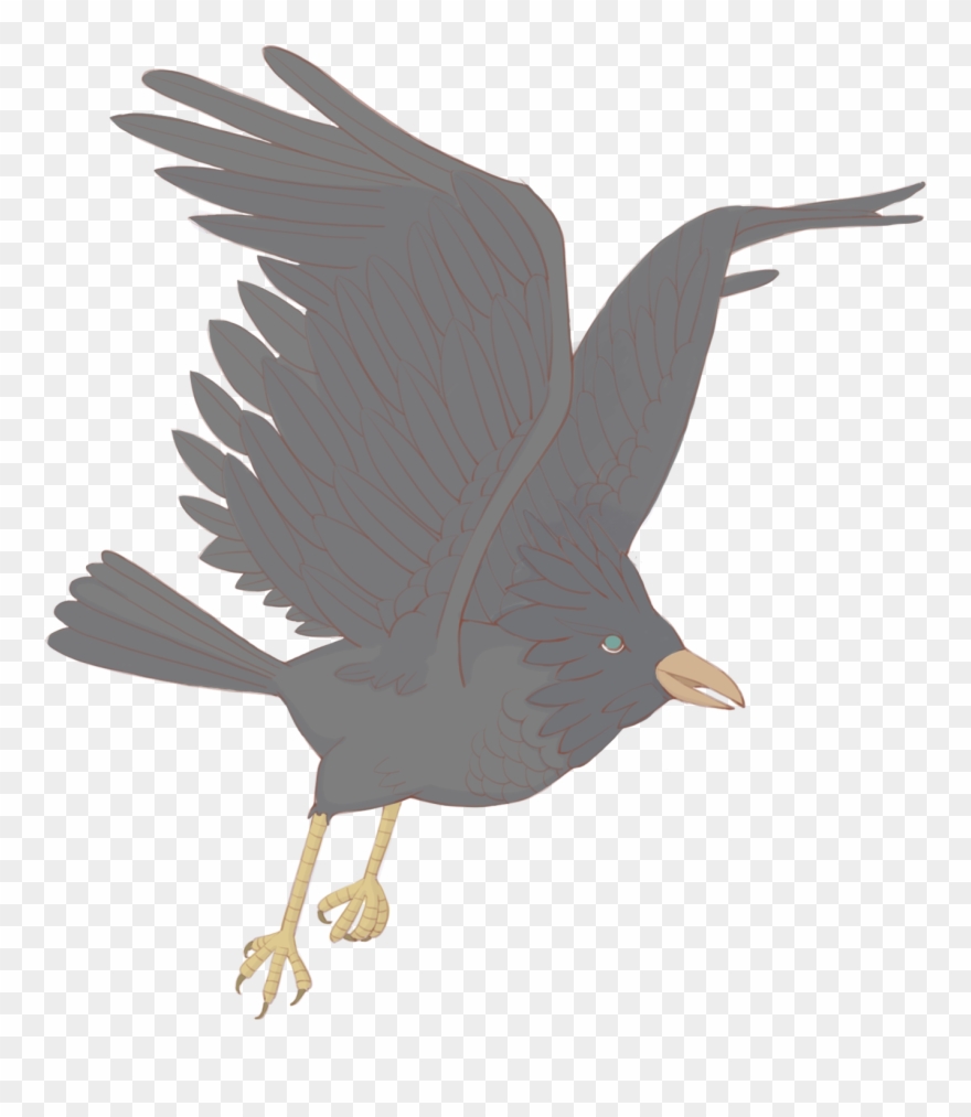 Hand Drawn Grey Crow Bird Png And Psd - Seabird Clipart