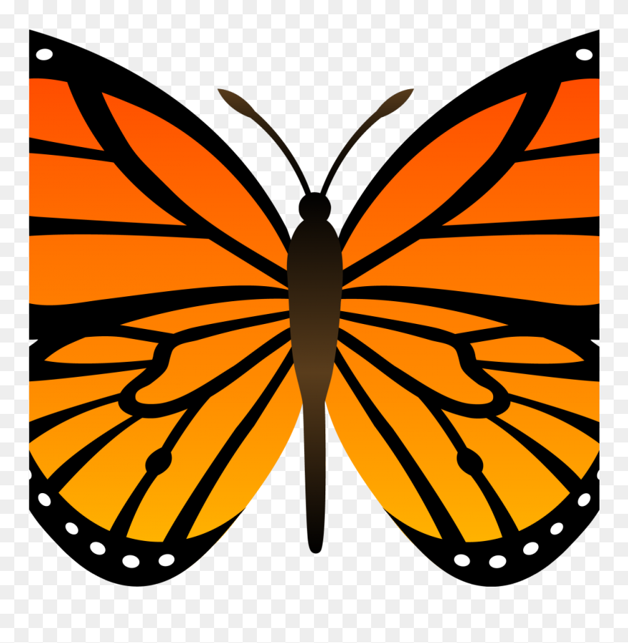 Download Butterfly Clipart