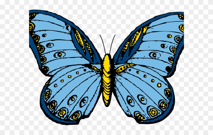 Monarch Butterfly Clipart Bitmap - Kupu Kupu Clip Art - Png Download