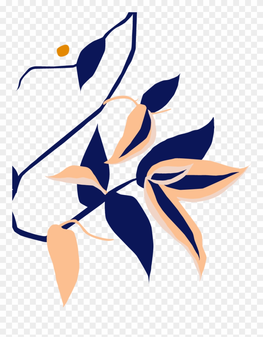 Botanical Name Clipart