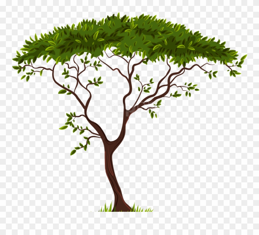 Free Png Download Exotic Tree Clipart Png Photo Png - Clipart Transparent Background Tree