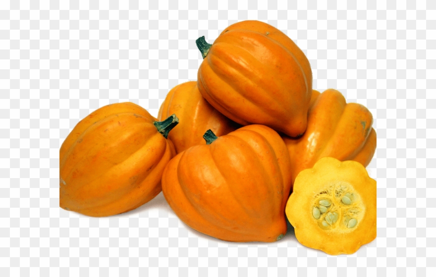 Zucchini Clipart Cute - Acorn Squash Png Transparent Png