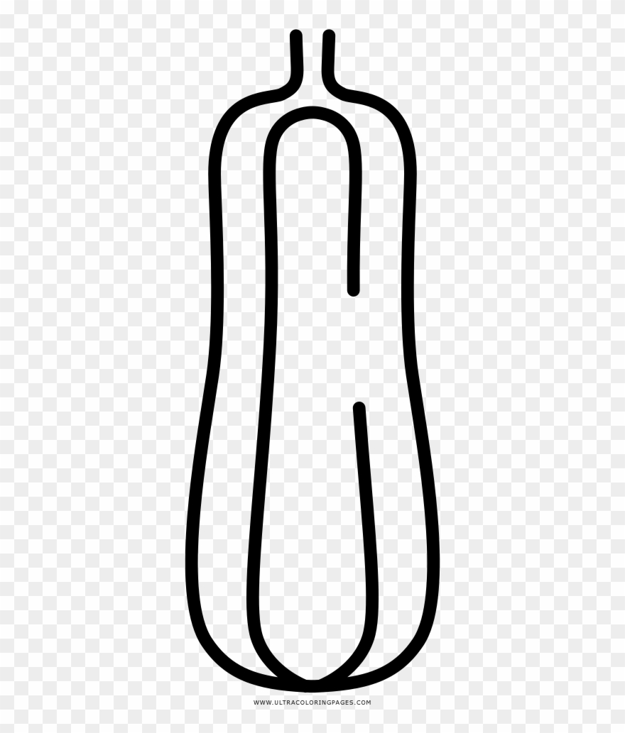 Zucchini Coloring Page Clipart