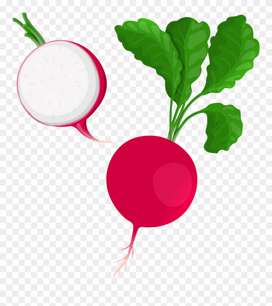 Beetroot Clipart - Png Download