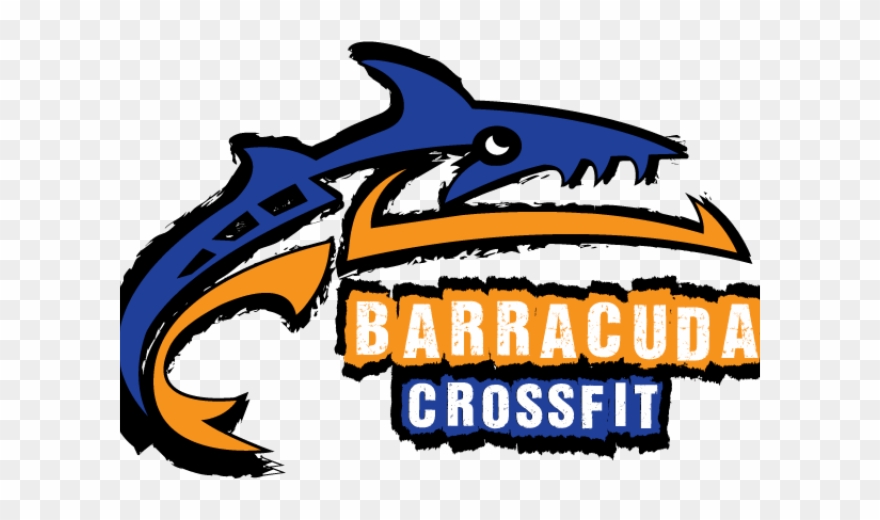 Barracuda Clipart Transparent - Png Download (#4206233) - PinClipart