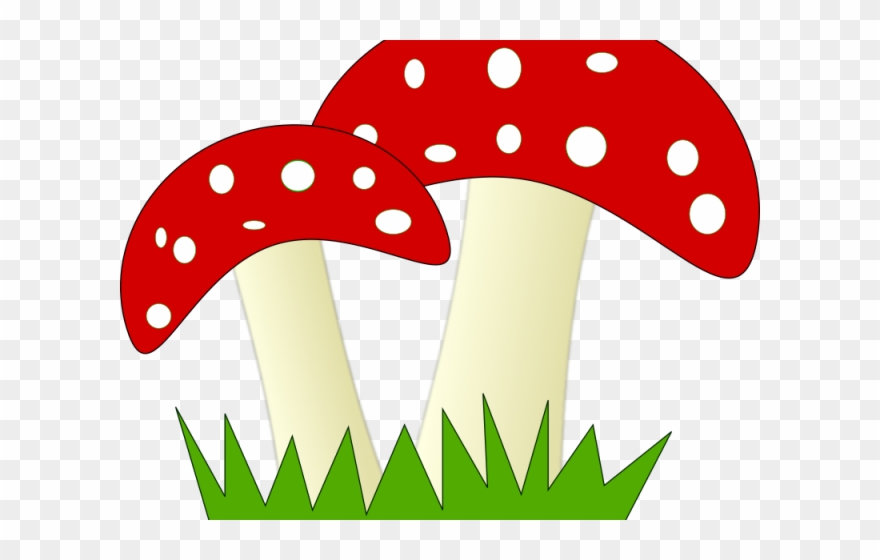 Mushroom Clipart Pizza - Gambar Pohon Jamur Kartun - Png Download