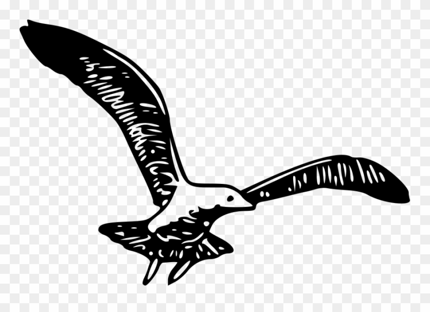 This Free Clip Arts Design Of Herring Gull 1b Png - Cartoon Bird Spreading Wings Transparent Png