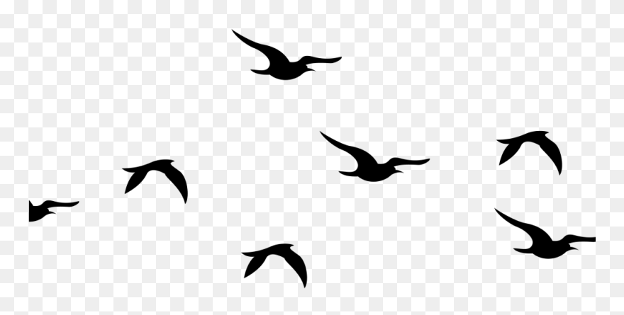 Flying Birds Silhouette Png Clipart
