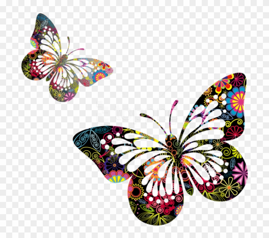 Free Png Download Butterflies Vector Clipart Png Photo - صورة فراشات بخلفية شفافة Transparent Png