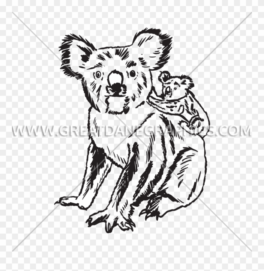 Koala Drawing Sketch - Illustration Clipart