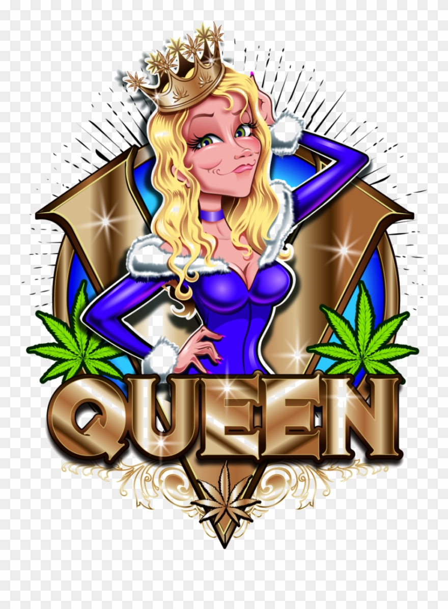 Medz Provides A Plethora Of Services - Cartoon Clipart