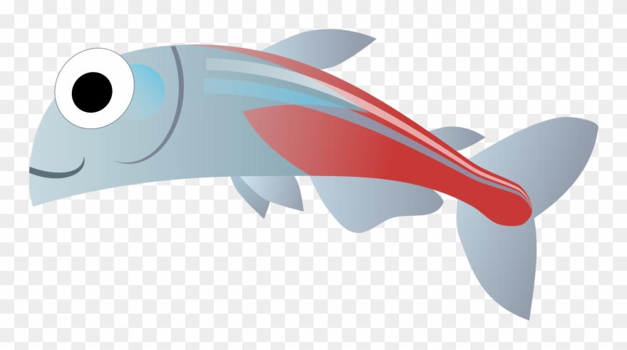 Abstract Fish 1 1969px 236 - Scalable Vector Graphics Clipart