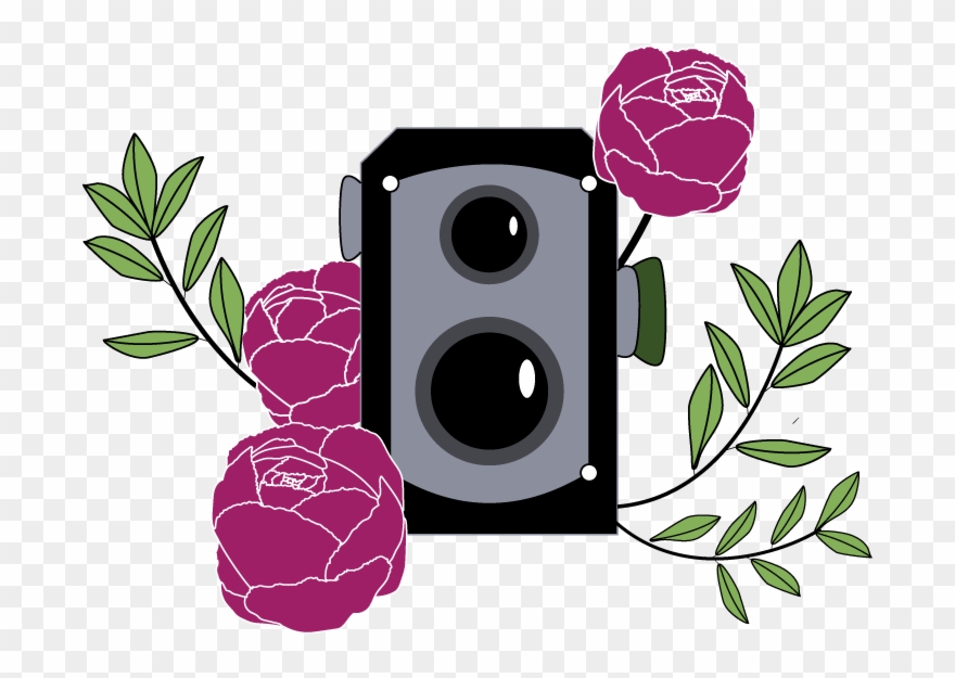 Isn't This How You Take Photos - Illustration Clipart