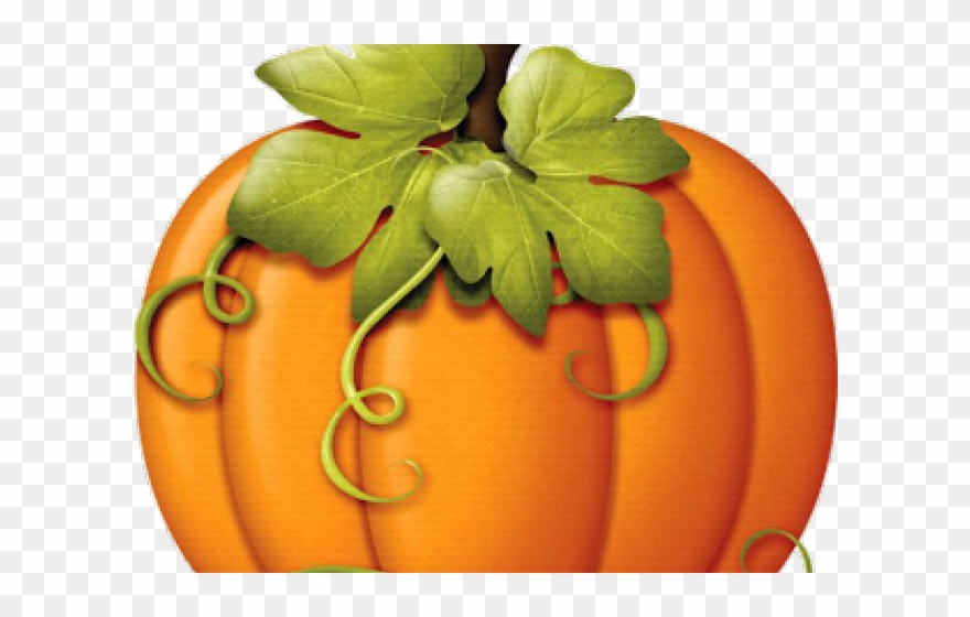 Harvest Clipart Colorful Pumpkin - Pumpkins With Vines Clipart - Png Download