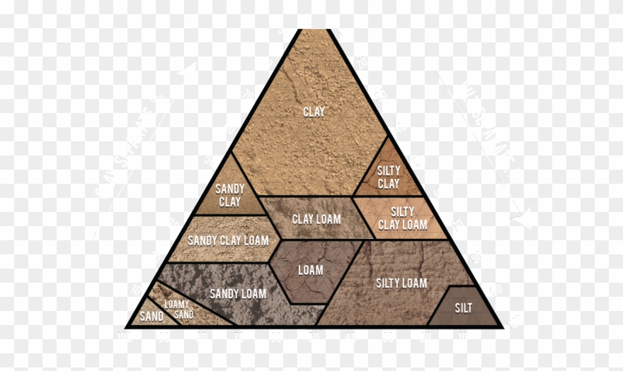 Soil Clipart Loam - Food Chain - Png Download