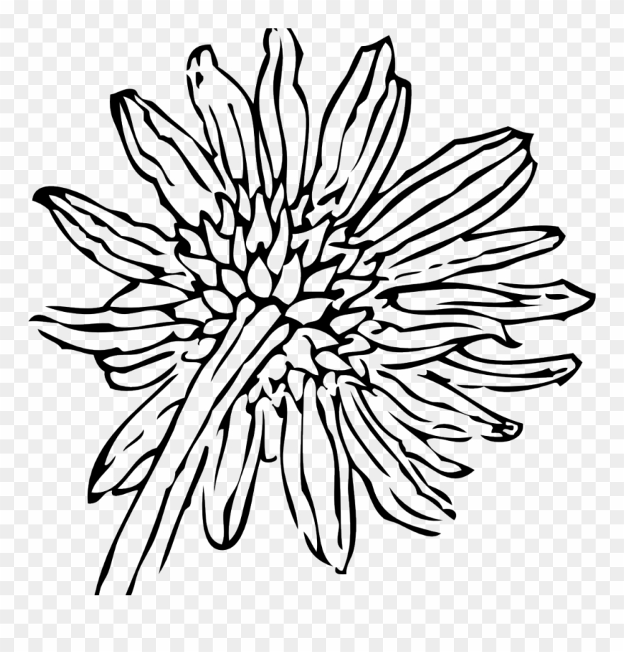 Sunflower Clip Art - Png Download