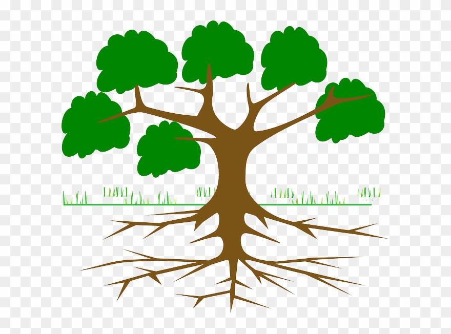 Sweetgrass Bc Reads Adult Literacy Fundamental English - Tree Root Cause Analysis Clipart