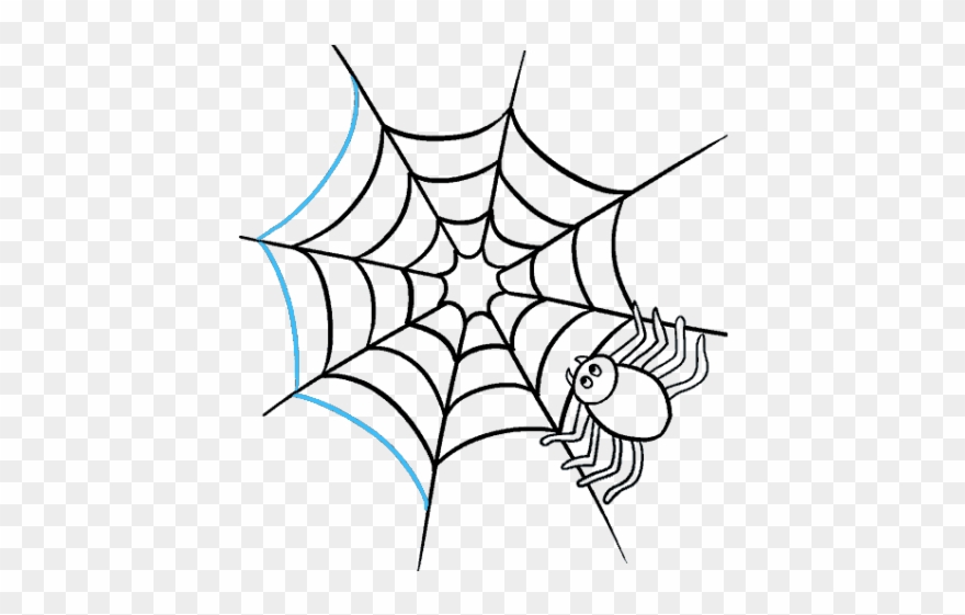 Drawn Spider Web Real - Spider With Web Drawing Clipart