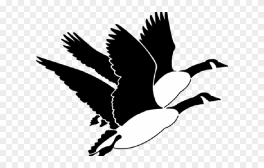 Geese Flying Clip Art - Png Download