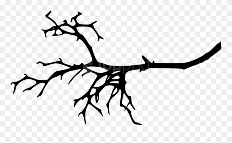 Tree Branch Silhouette Png - Clipart Tree Branch Silhouette Transparent Png