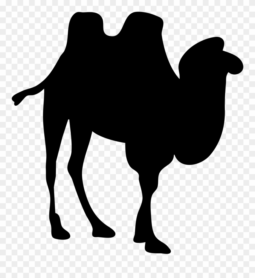 Clipart - Camel Silhouette No Background - Png Download