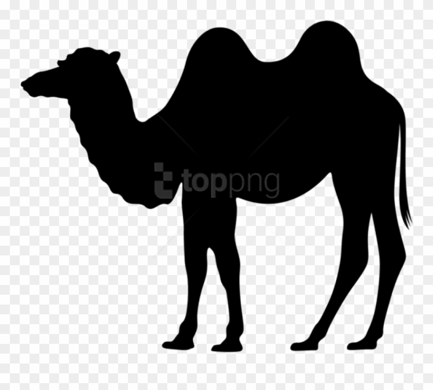 Free Png Camel Silhouette Png Png - Camel Silhouette Clipart Transparent Png
