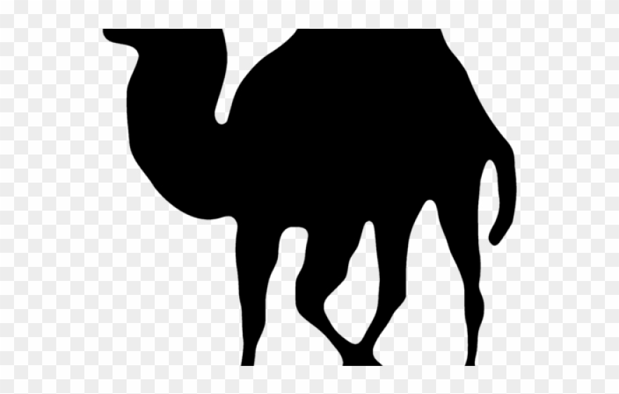 Camel Clipart Realistic - Arabian Camel - Png Download