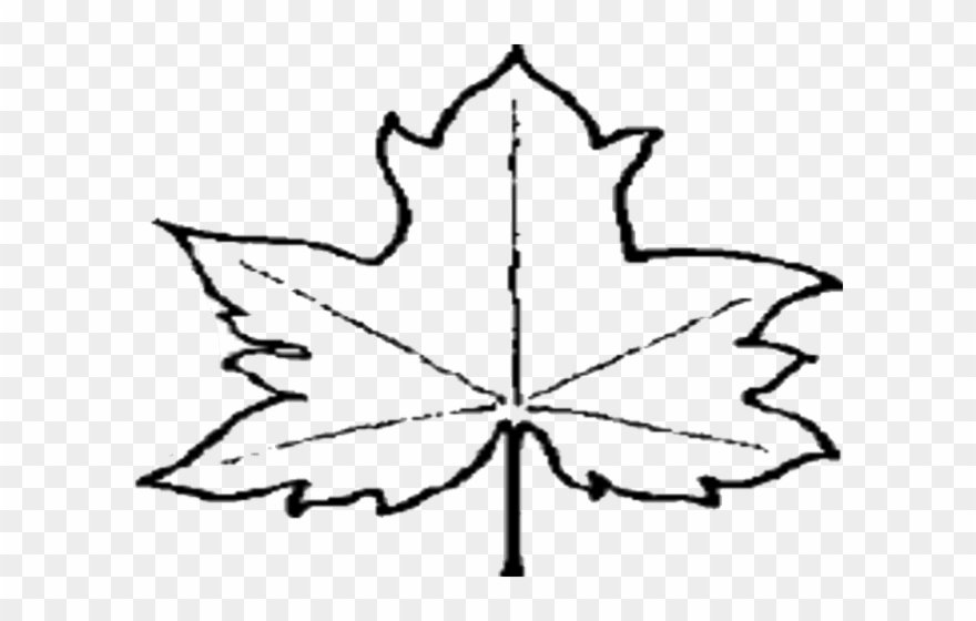 Maple Leaf Clipart Out Line - Outline Of A Leaf - Png Download